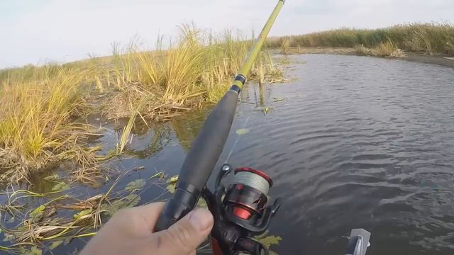 ЖОР ЩУКИ В ОКТЯБРЕ. РЫБАЛКА В САРАТОВЕ 2023. смотреть онлайн