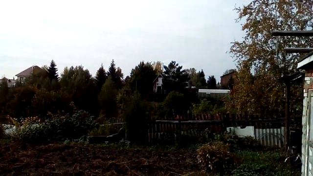 СНТ ивушка смотреть онлайн