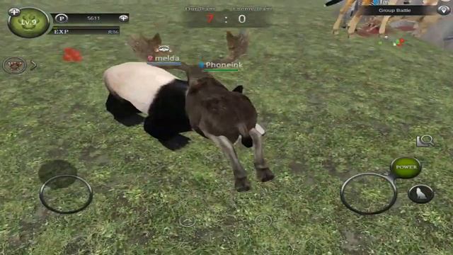 Wild Animals Online - Moose -Group Battle- Android/iOS - Gameplay Episode 36