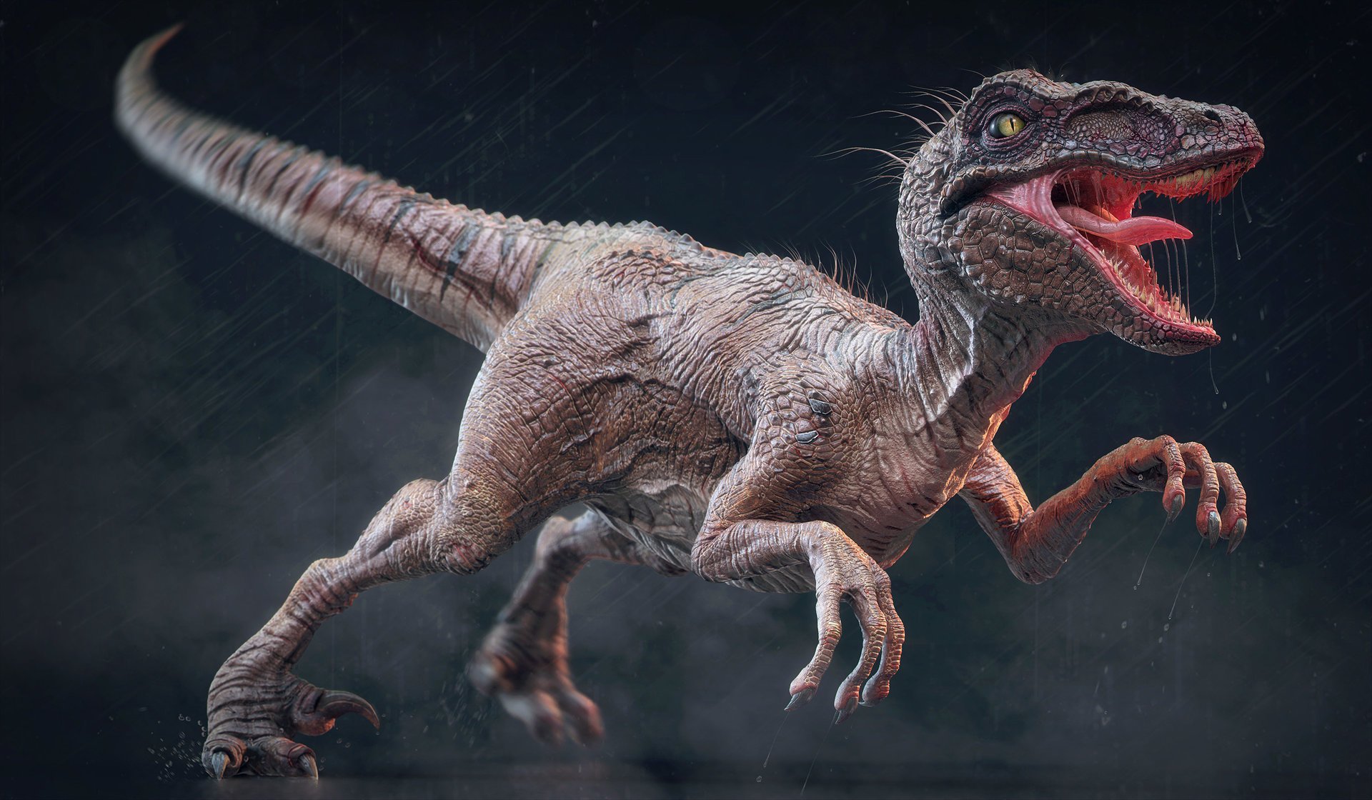 F-22 Raptor В деле