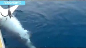 РЫБАЛКА В МОРЕ НА БОЛЬШИХ РЫБ