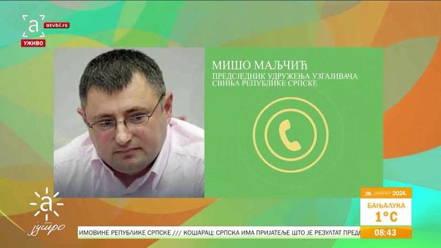 Eво када можемо очекивати ниже цијене прасетине