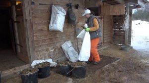 Лошадь в домашней конюшне, про уход за денником и сколько стоит содержать лошадь.