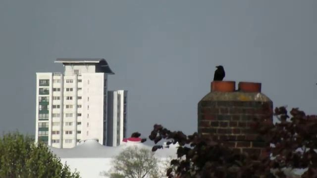 fuji finepix 4080 or 4000 30x zoom смотреть онлайн