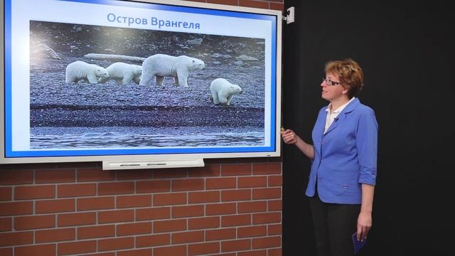 Телеуроки. Юлия Большакова. «Особо охраняемые природные территории России» смотреть онлайн