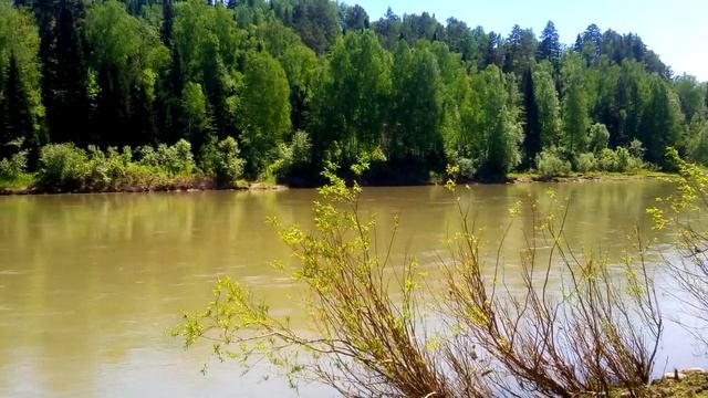 река Лебедь неподалёку от села Турочак в Горном Алтае (2021) смотреть онлайн