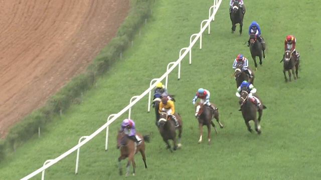 Wind Symbol with Yash Narredu Up Wins The Light Plate 2021 смотреть онлайн