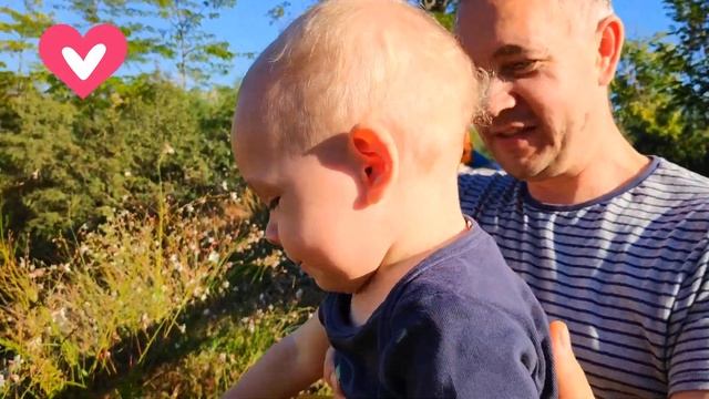 Зоопарк в Париже. Динозавры в Парижском зоопарке. Видео для детей. Челлендж с дельфинами. Влог. 0+ смотреть онлайн