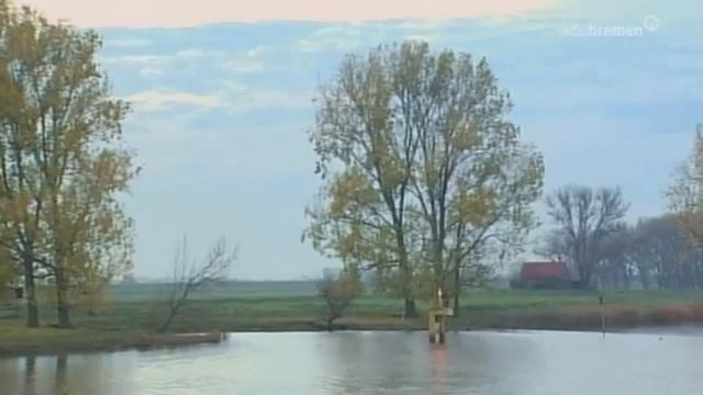 Rias Abschiedstour   DIE REPORTAGE   NDR