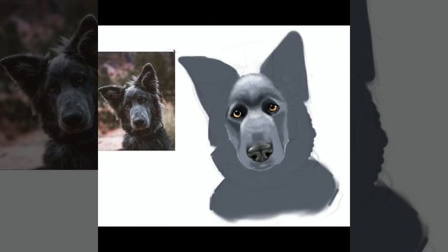 Как нарисовать Немецкую овчарку? Процесс рисования голубого д/ш немца /art в Procreate смотреть онлайн