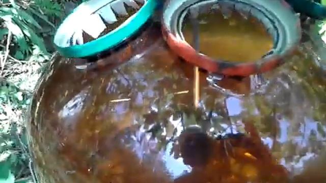 VID 20100123 071416 смотреть онлайн