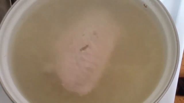 Наука о Животных и их Поведение