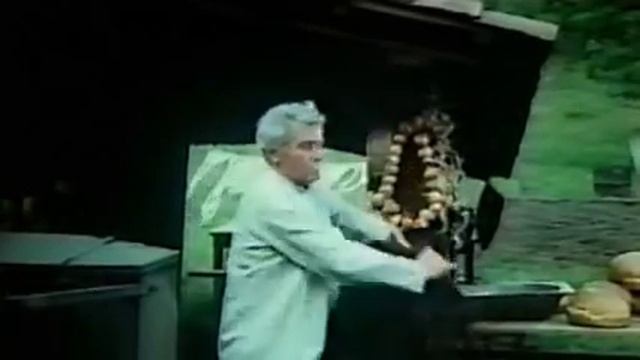Дикий ветер смотреть онлайн