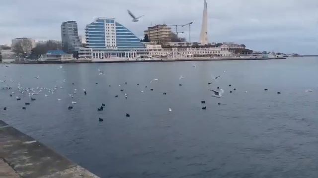 Морской ветер с моря дул . 💙🌊 смотреть онлайн