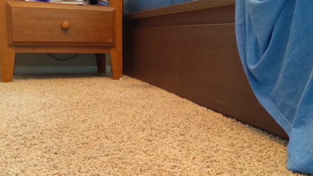 HIGH SCHOOL SUBMISSIONS: Isolation by Nathan Perl смотреть онлайн