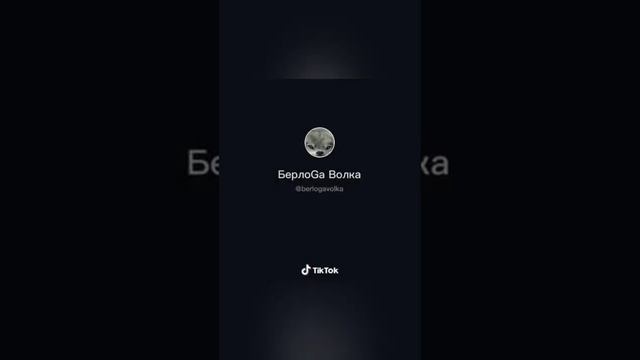 Цитаты волка из тик-тока нарезка смотреть онлайн