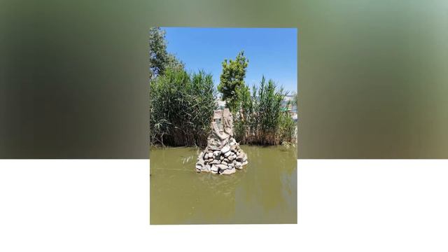 🌷Арт-студия "Я люблю снимать фото и видео". Наши фотозарисовки: с 21.08 по 27.08.2020🌷 смотреть онлайн