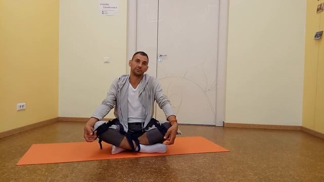 Осанка в жизни человека - консультация бесплатно. смотреть онлайн