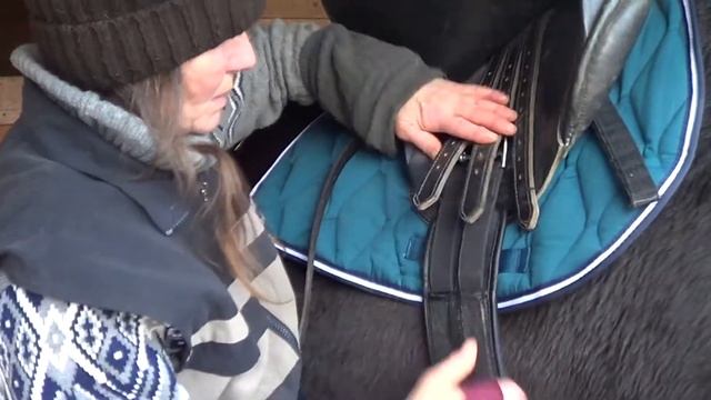 Школа коновода. Седлаем лошадь. смотреть онлайн