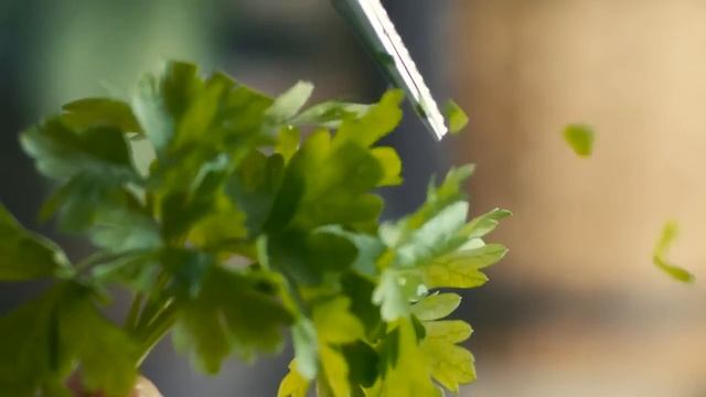 Thermomix TM5 - The World’s Smallest, Smartest Kitchen | Thermomix Canada