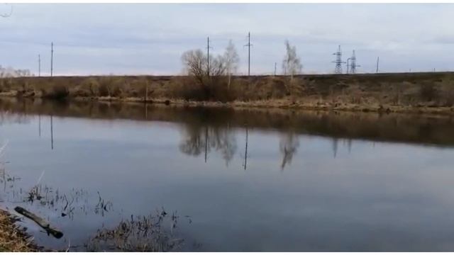 В поисках крапивы и одуванчиков для шиншилл. смотреть онлайн