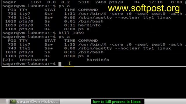 How to kill process in Bash смотреть онлайн