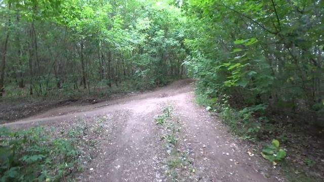 ЛОВИМ РАКОВ И РЫБУ НА ОЗЕРЕ. ВЛОГ ??? смотреть онлайн