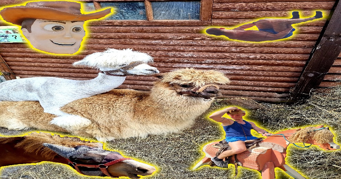 Ранчо Авенсис