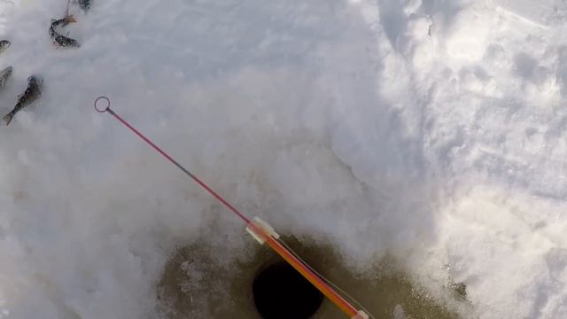 Илос озеро.31.03.2018. На свежем воздухе...Часть 3.Зимняя рыбалка, бегаю по лункам. смотреть онлайн
