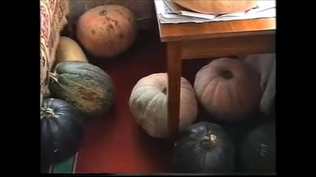 Про тыквы смотреть онлайн