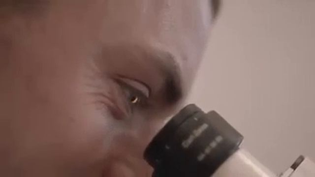 Our cell culture specialist, Payton Laurie, explains how FACTORFIVE harnesses смотреть онлайн