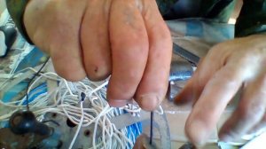 как правильно наживить перемет.