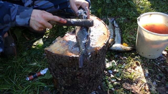 Как правильно чистить рыбу смотреть онлайн