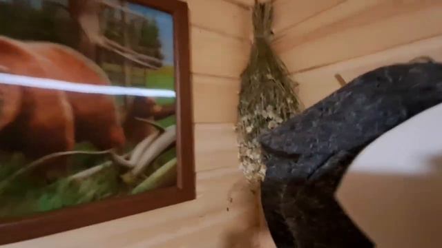 10 февраля 2024 г.