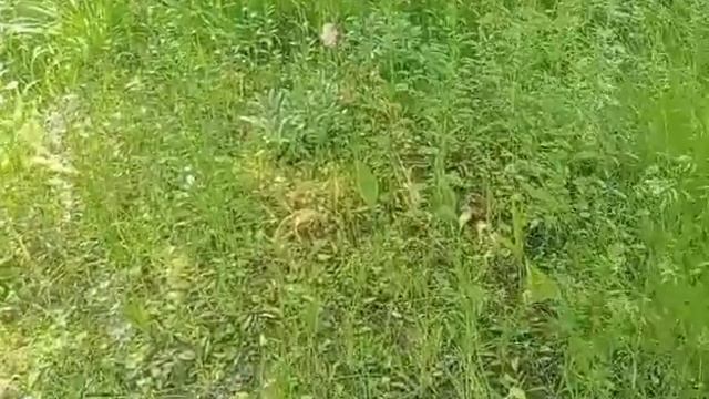 Брата мужа неожидала от него такого. смотреть онлайн