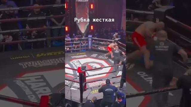 леко Vs хамзат