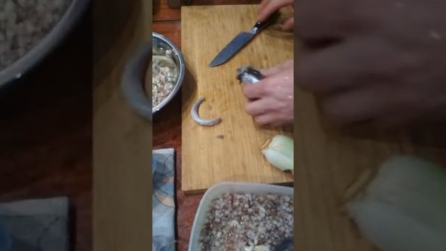 ЖИЗНЬ С АКИТА-ИНУ: ?что он ест ? смотреть онлайн