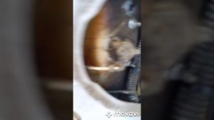 Установка, подключение видеорегистратора с камерой заднего вида в Дэу Ланос.