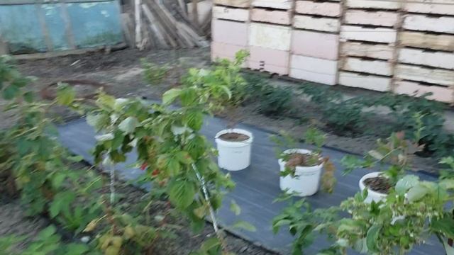 Мой опыт дополнительного заработка. смотреть онлайн