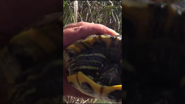 Рыбалка в Крыму на поплавок смотреть онлайн