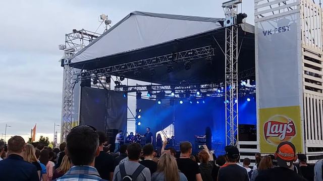 Animal Jazz три полоски Vkfest