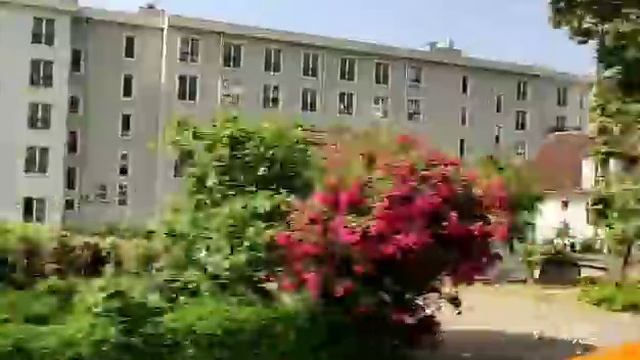 Дорога в Хорватию из Черногории. Путь открывателя)) смотреть онлайн