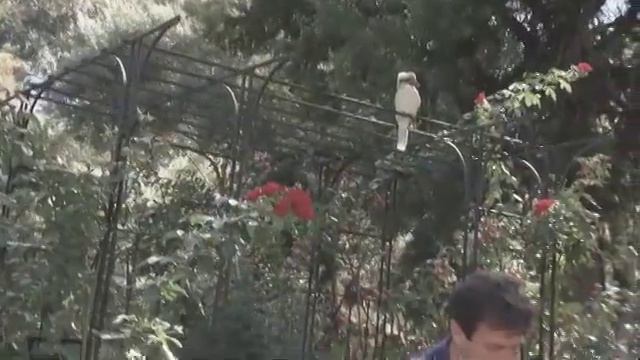 The Garden Gurus - Scotts Feed your Plants & Feed the Soil