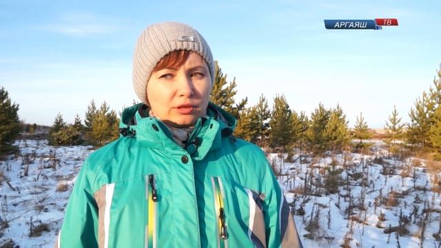 В лесу родилась ёлочка. Редакция вышла в рейд вместе с лесниками смотреть онлайн