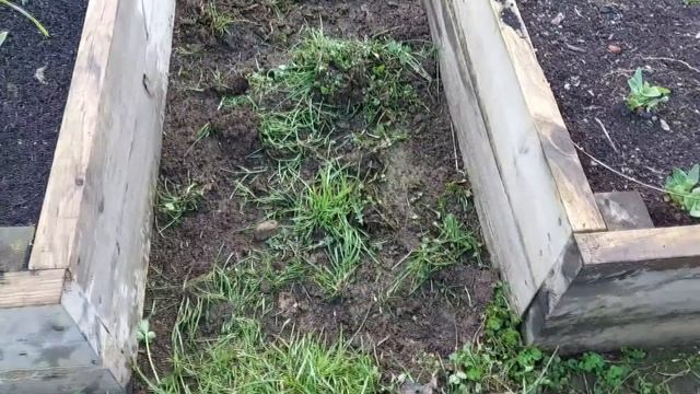 La Mejor HERRAMIENTA Para LIMPIAR HIERBAS Sin Esfuerzo || La Huertina De Toni смотреть онлайн