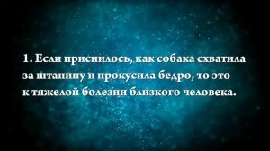 К чему снится, что укусила собака - Онлайн Сонник Эксперт