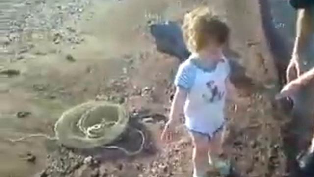 Карповая рыбалка.( поклёвка ) смотреть онлайн