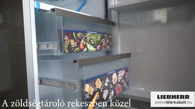 Liebherr RBsfe 5220 | Egyajtós hűtőszekrény bemutató videó смотреть онлайн