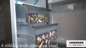 Liebherr RBsfe 5220 | Egyajtós hűtőszekrény bemutató videó