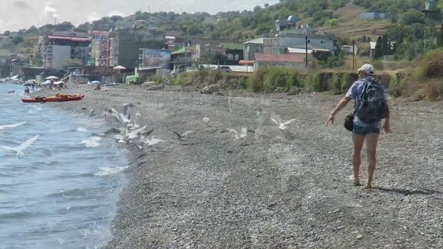 Приветное 29 30 08 15 смотреть онлайн